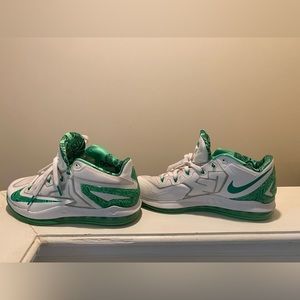 Lebron Nike Sneaker size 10